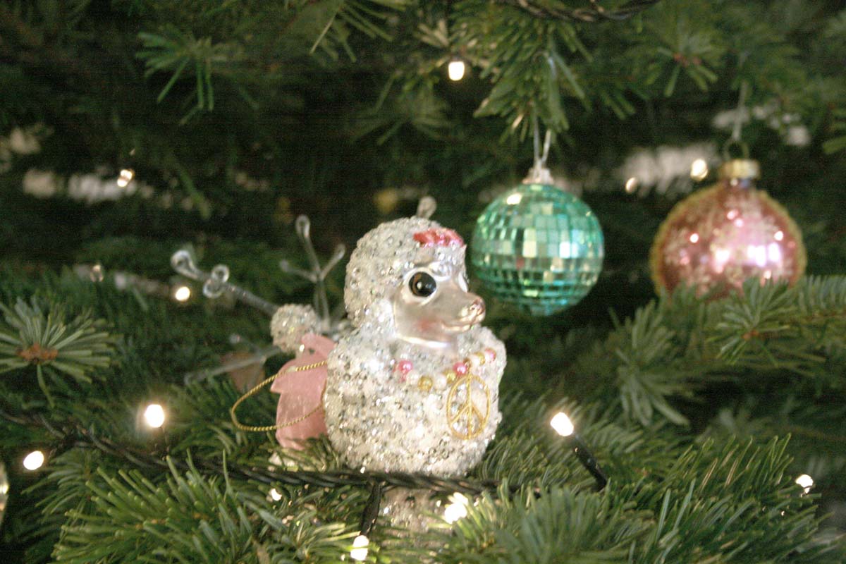 Pudel — Ornament, Detail