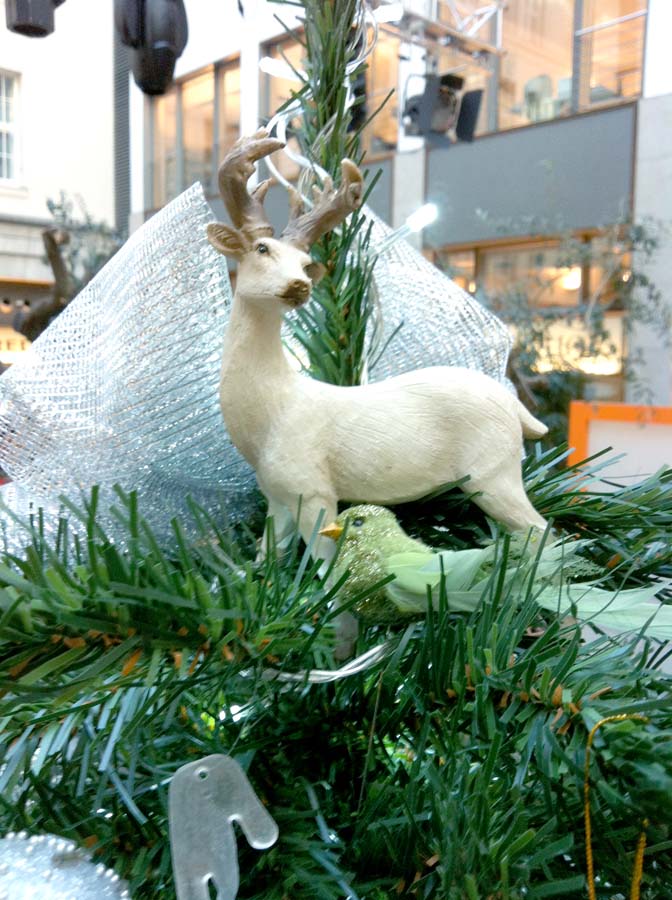 Studiobaum — ZDF Morgenmagazin · 2011